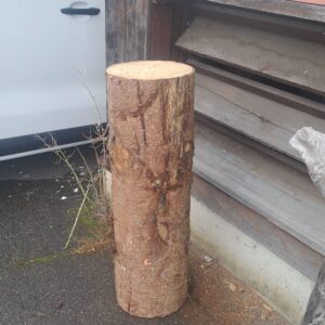 Nagelstock